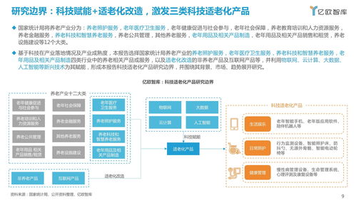 2021中国科技适老化产品研究报告 计算机软硬件的技术开发